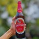 Kingfisher Beer Price in Mumbai; Latest Rate and Details