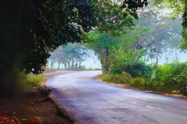 Aarey Milk Colony - Most Haunted Places in Mumbai