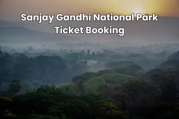 Sanjay Gandhi National Park Ticket Booking, Prices, and More (2025 Guide)
