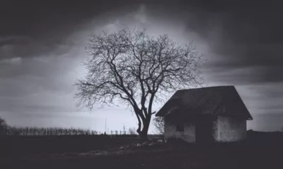 Top 6 Most Haunted Places in Mumbai
