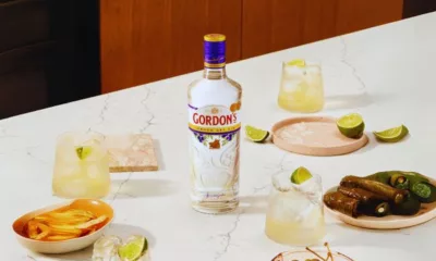 Gordon's Gin Price in Mumbai; 50ml, 200ml, 500ml, 750ml and 1Litre Rates