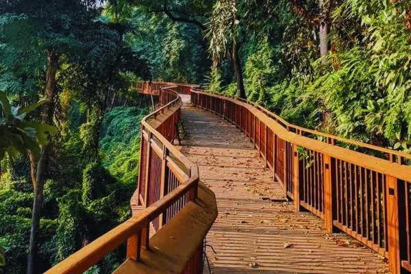 Mumbai's First Tree Top Walkway Opens at Malabar Hill: Timings, Tickets and Highlights