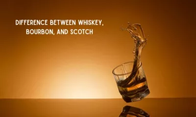 Difference Between Whiskey, Bourbon, and Scotch: A Beginner’s Guide to Spirits