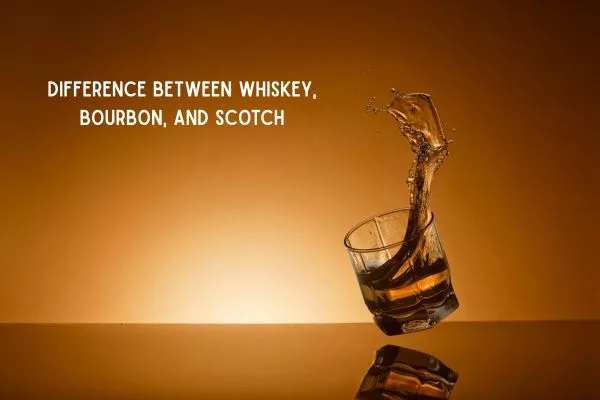 Difference Between Whiskey, Bourbon, and Scotch: A Beginner’s Guide to Spirits