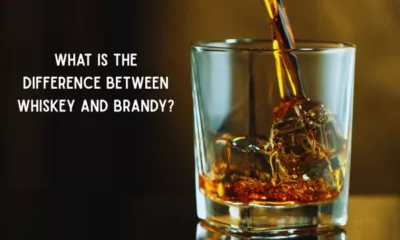 What Is the Difference Between Whiskey and Brandy?