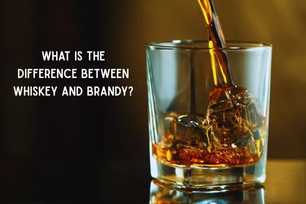 What Is the Difference Between Whiskey and Brandy?