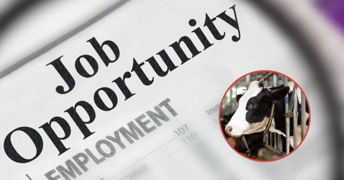 MPSC Recruitment 2025: 311 Assistant Commissioner Posts Announced in Animal Husbandry Department