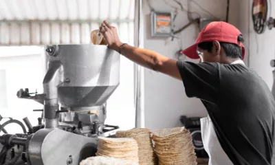 Mastering Tortilla Production: Tips for Commercial Kitchens