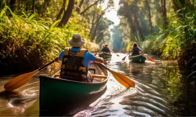 7 Days in Kerala: The Perfect Itinerary for First-Time Visitors