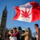 Canada Cannabis Supporting Safe Purchases and Nationwide Delivery