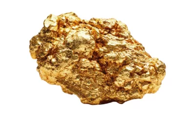 Mumbai Gold Rates Update February 23, 2026