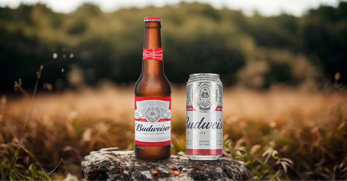 Budweiser Beer