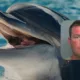 Is Gerald the Dolphin Real? Viral Florida Kidnapping Story Explained