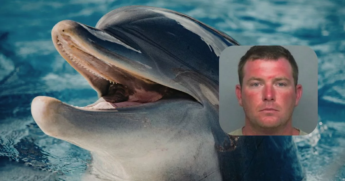 Is Gerald the Dolphin Real? Viral Florida Kidnapping Story Explained