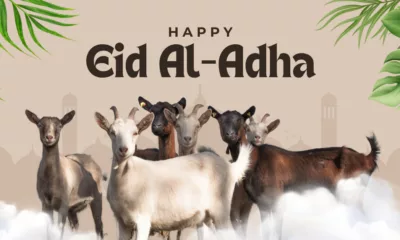 Eid ul-Adha 2026 Quotes, Wishes, Messages, Images, Posters, Banners, and Instagram Captions